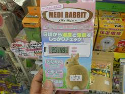 DSCN6025.JPG