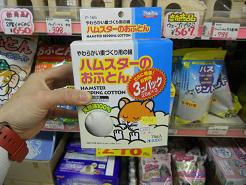 DSCN6034.JPG