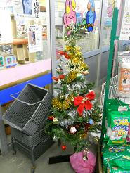 DSCN6043.JPG