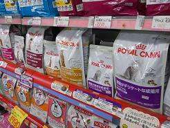 DSCN6040.JPG
