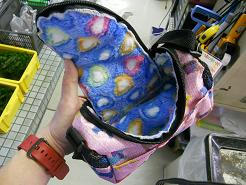 DSCN6070.JPG