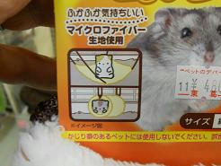 DSCN6057.JPG