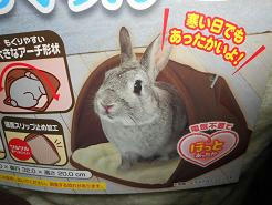 DSCN6062.JPG