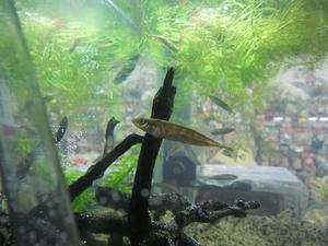 DSCN6076.JPG