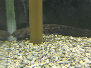 DSCN6095.JPG