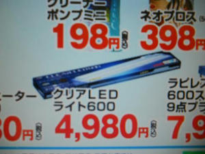 DSCN6103.JPG