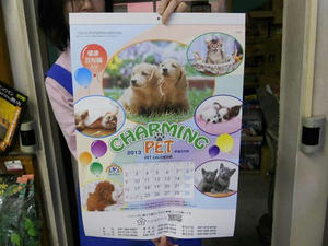 DSCN6110.JPG