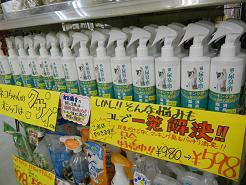 DSCN6119.JPG