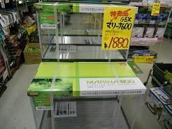 DSCN6117.JPG
