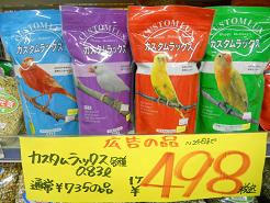 DSCN6121.JPG