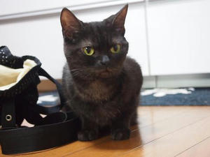 PC090126.JPG