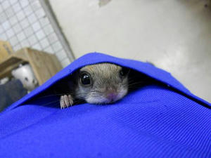 DSCN6133.JPG
