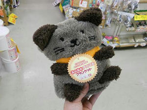 DSCN6167.JPG