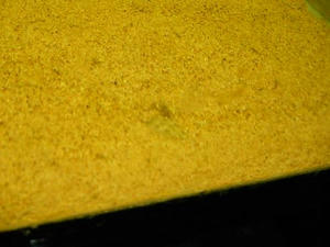DSCN6186.JPG