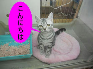 DSCN6193.JPG