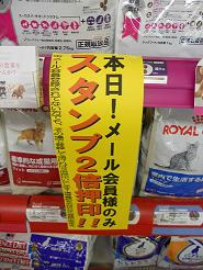 DSCN6188.JPG