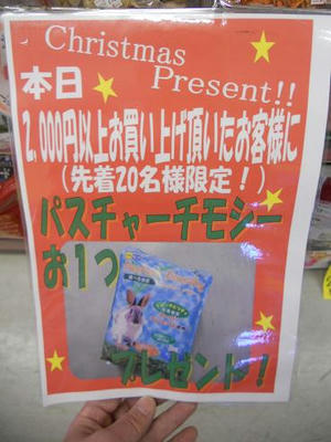 DSCN6204.JPG