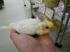 DSCN6212.JPG