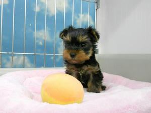 DSCN6231.JPG