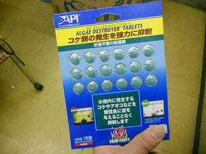 DSCN6235.JPG