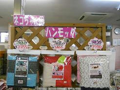 DSCN6237.JPG