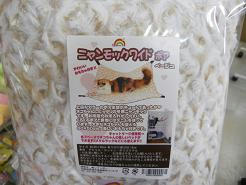 DSCN6238.JPG