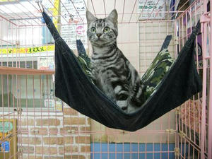 DSCN6252.JPG