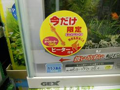 DSCN6254.JPG
