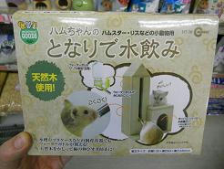 DSCN6255.JPG