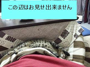 20130130_230008.jpg