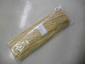DSCN6406.JPG