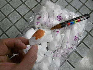 DSCN6409.JPG