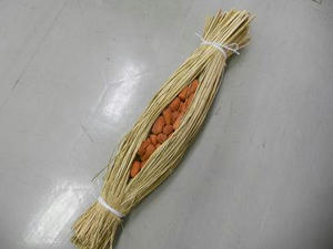 DSCN6410.JPG