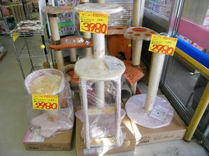 DSCN6416.JPG