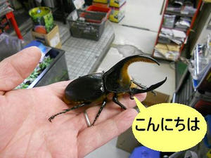 DSCN6427.JPG