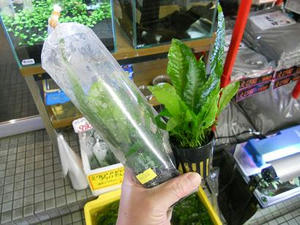 DSCN6419.JPG