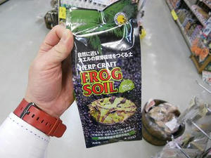 DSCN6430.JPG