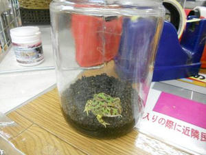 DSCN6432.JPG