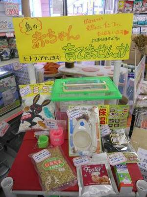 DSCN6435.JPG
