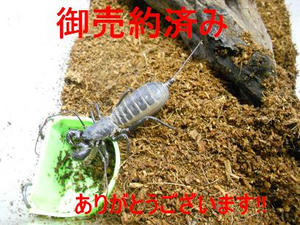 DSCN6446.JPG