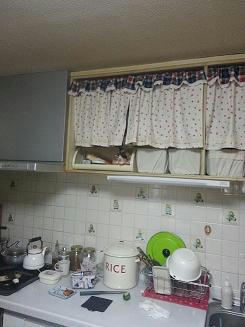 20130219_081506.jpg