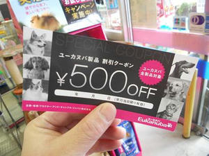 DSCN6455.JPG