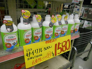 DSCN6458.JPG