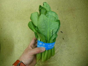 DSCN6467.JPG