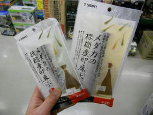 DSCN6486.JPG