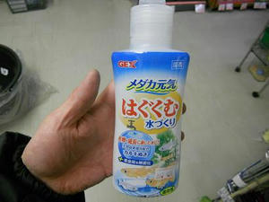 DSCN6483.JPG