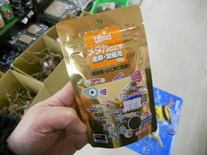 DSCN6484.JPG