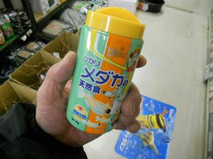 DSCN6485.JPG