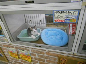 DSCN6492.JPG