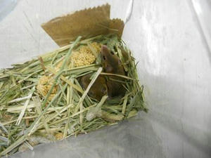 DSCN6506.JPG